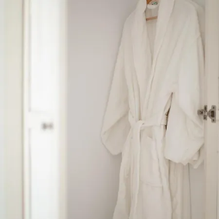 The Ammonite 4* Plintri