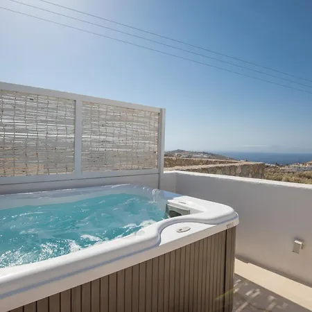 The Ammonite Plintri