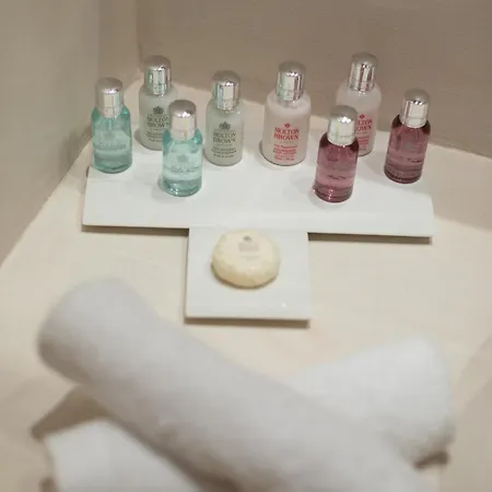 The Ammonite Plintri