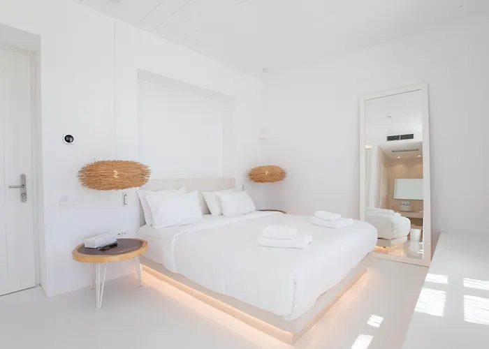 The Ammonite Отель Plintri