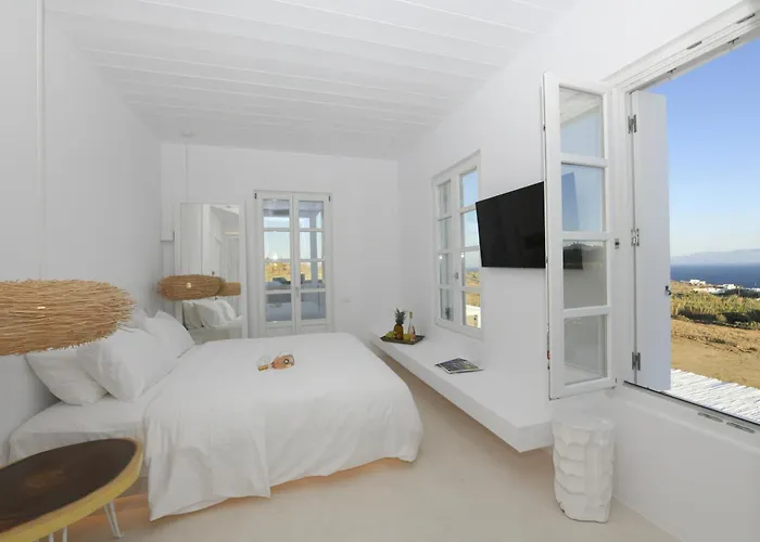 Отель The Ammonite Plintri