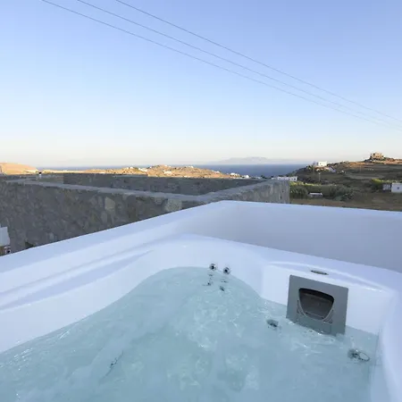 The Ammonite 4*