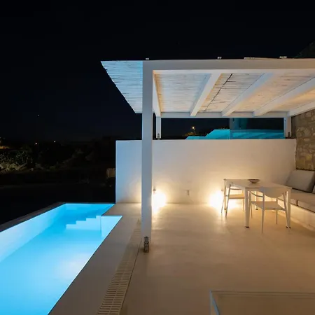 The Ammonite Plintri