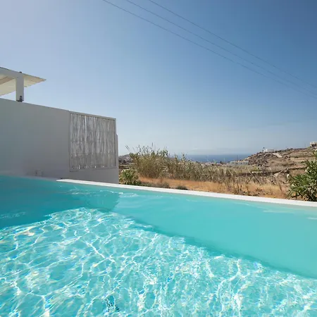 The Ammonite 4* Plintri