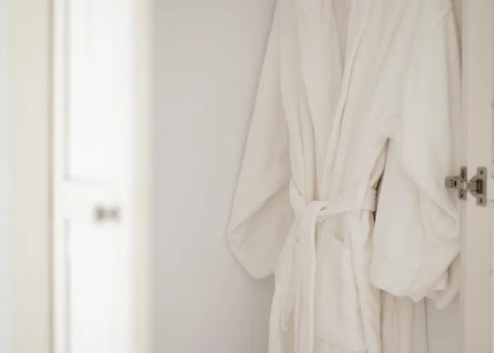 The Ammonite 4* Plintri