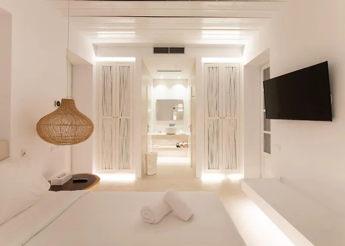 The Ammonite Plintri