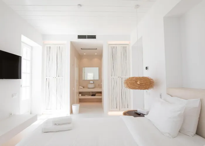 The Ammonite ホテル Plintri